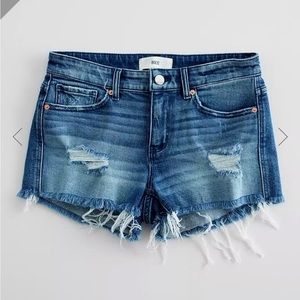 BKE Payton Shorts EUC